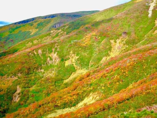 Yamanosho Otel Yuzawa  Dış mekan fotoğraf